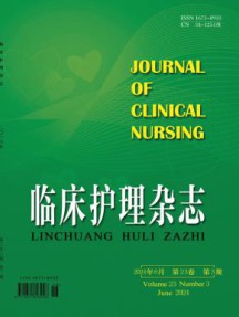 临床护理杂志